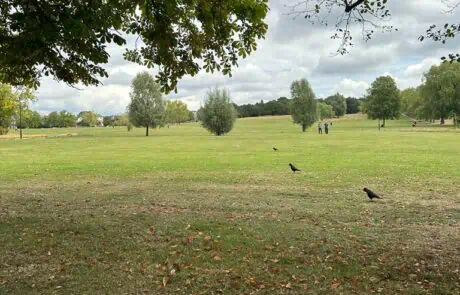 Open fields and space to play Open fields and space to play